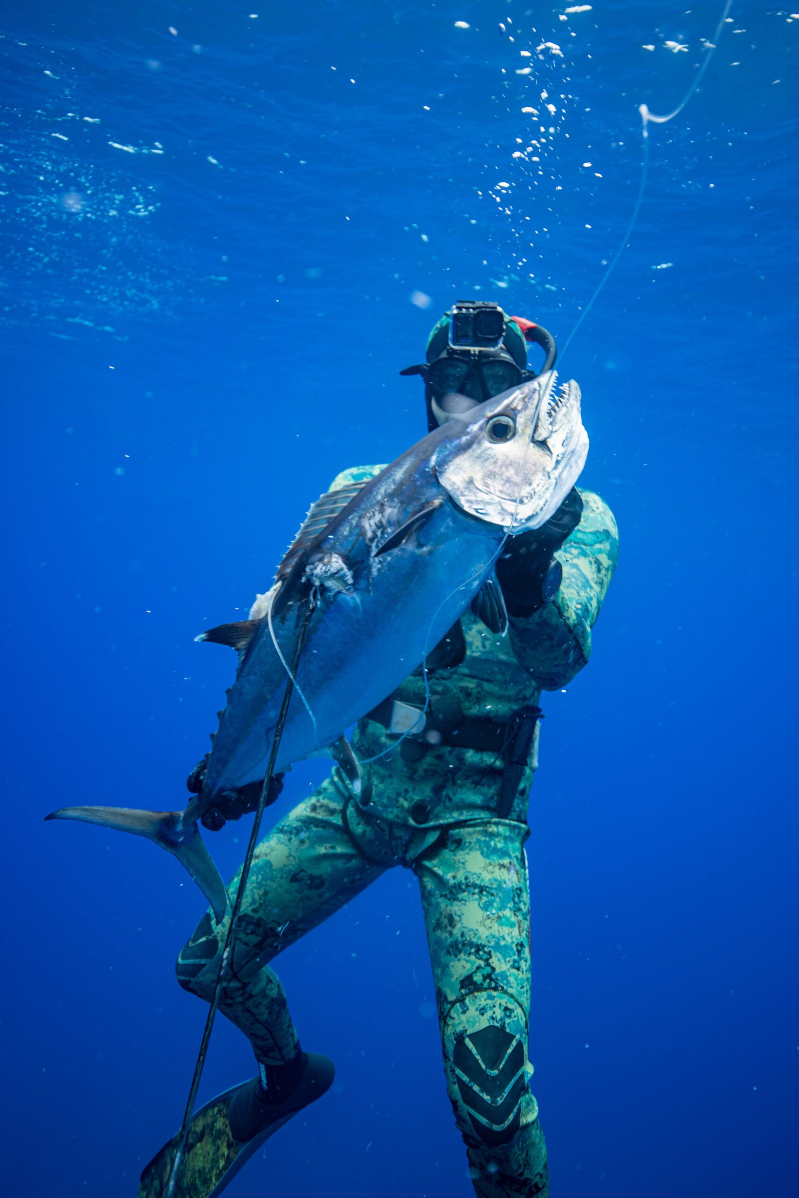 Person in a wet suit underwater holding a fish