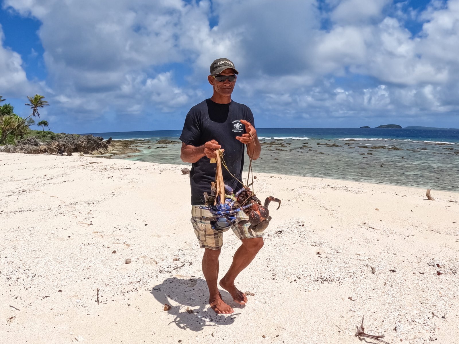 Person holding crabs in the beach