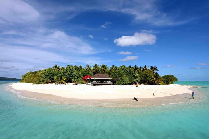 Island with a house and people and dogs surrounded by sand and ocean