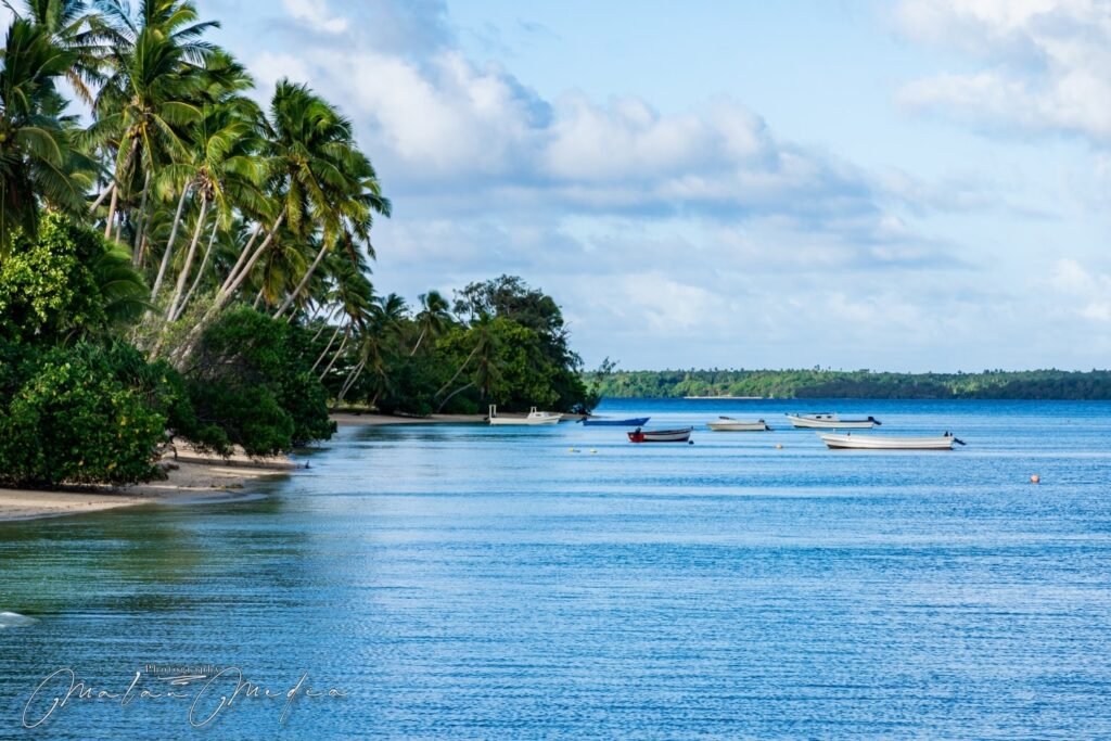 Beach shoreline with coconut trees and boats at sea