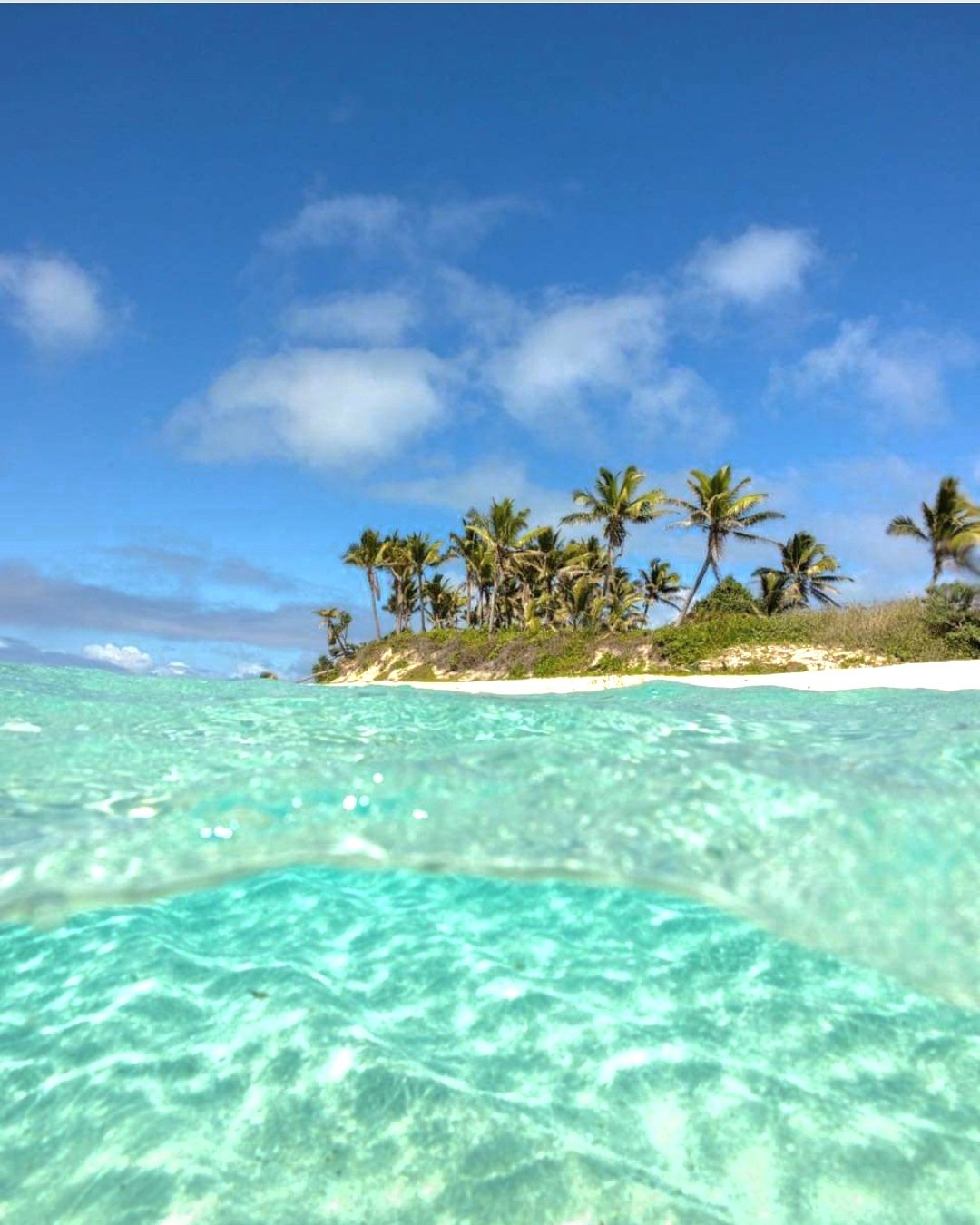 Beach in Tonga with coconut trees