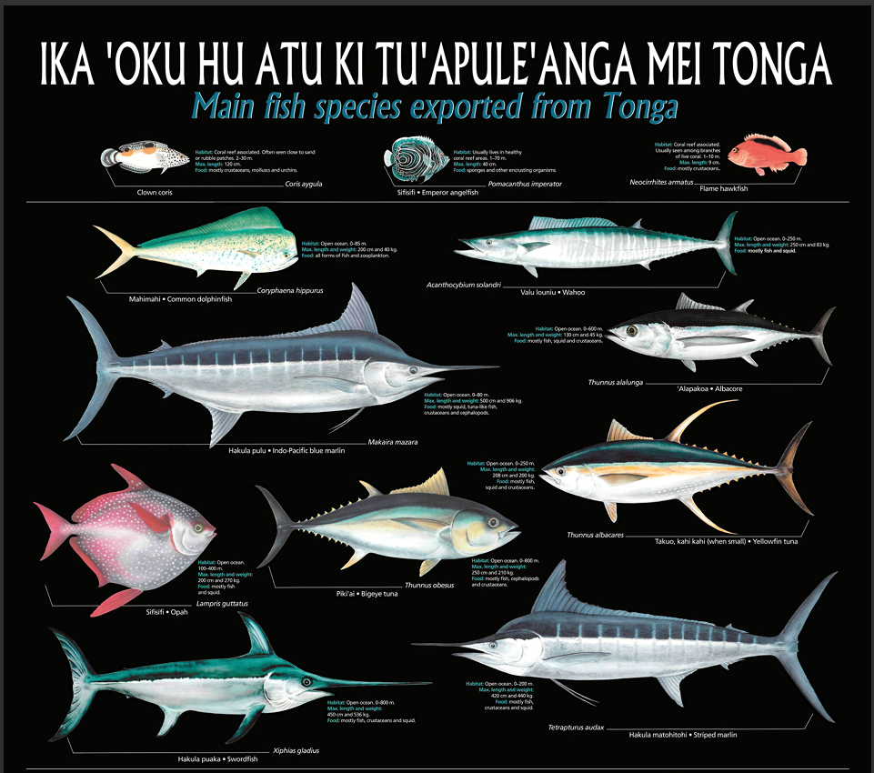 List of fish in Tonga