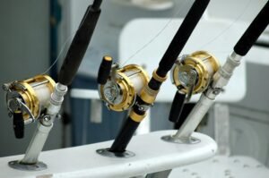 Fishing rods 