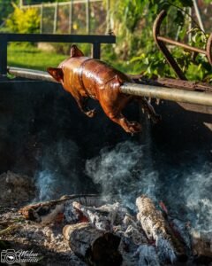 Pig on a roast